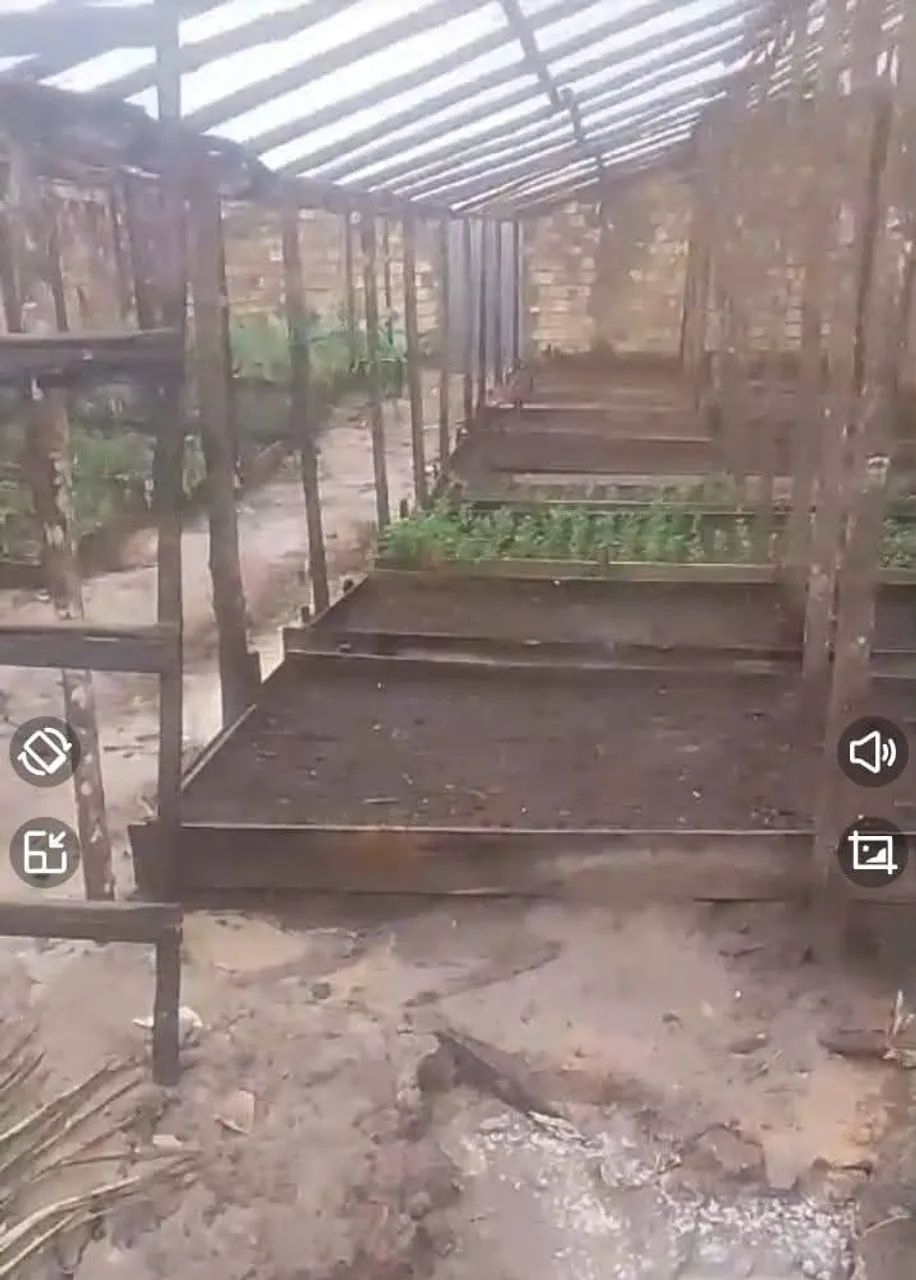 Terreno  - Foto 4