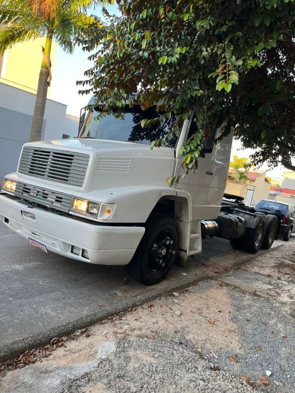 Cavalinho a venda  - Foto 5