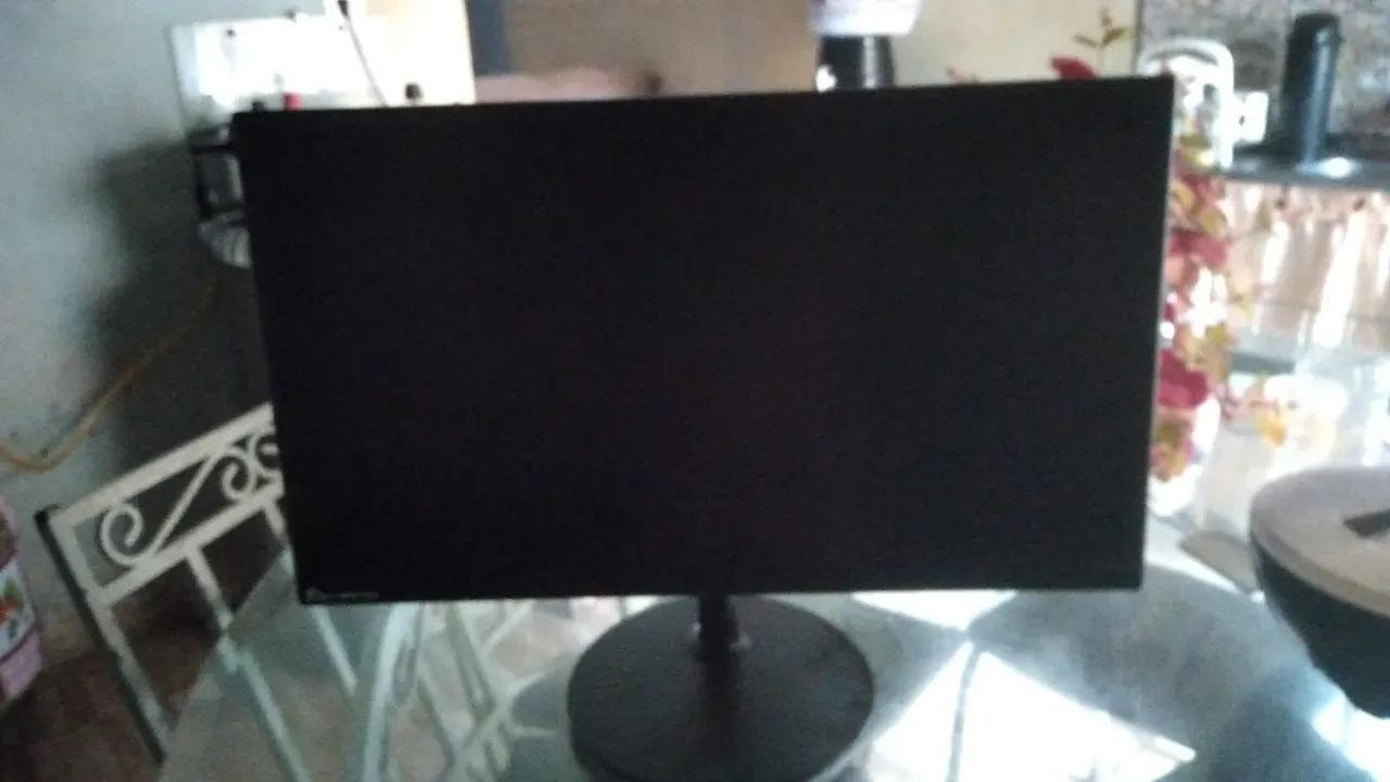 Monitor gamer 