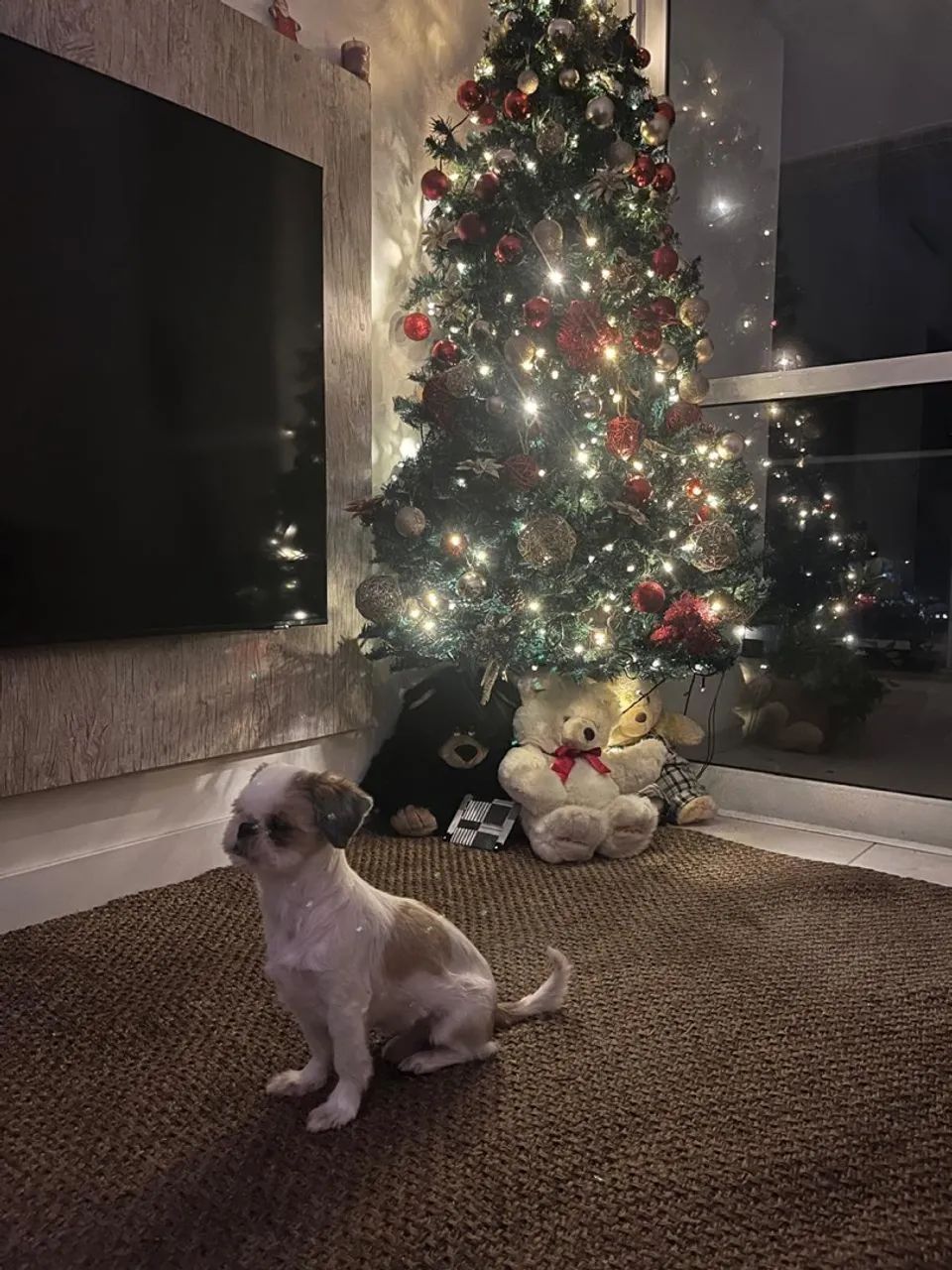 Árvore de Natal - Foto 2