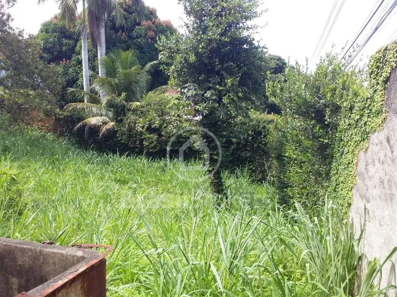 Terreno Residencial - Tauá - Foto 3