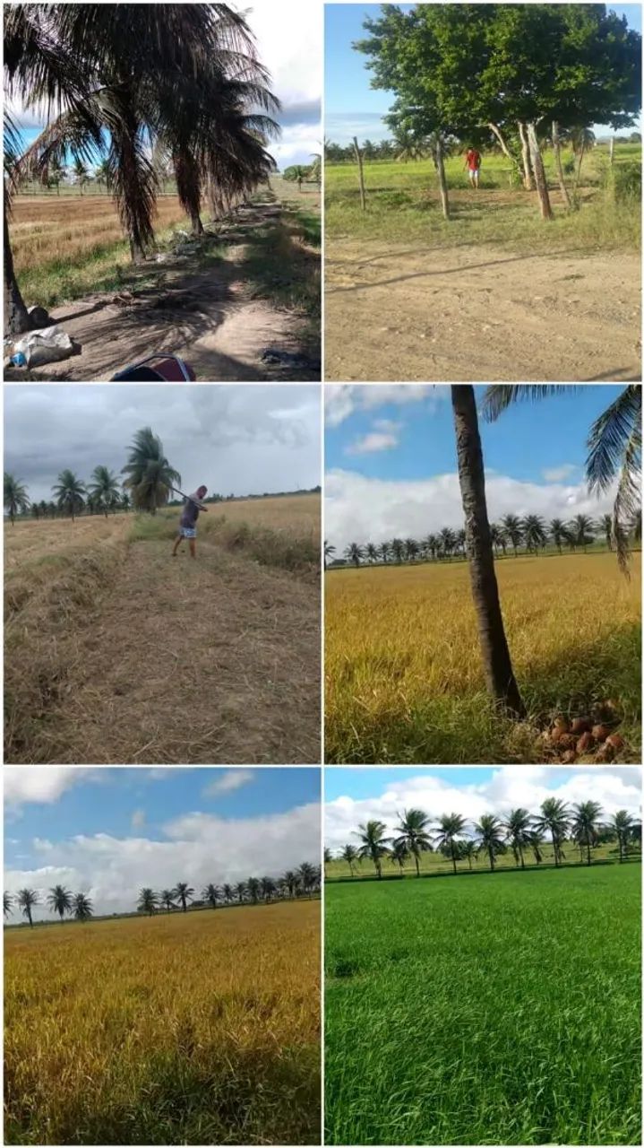 Terreno  - Foto 2