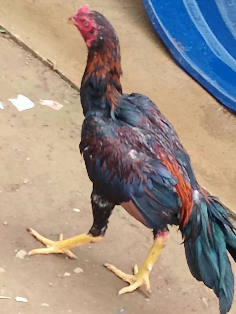 Eu estou vendendo  - Foto 4