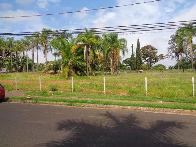 Terreno Padrão em Uberlândia - Foto 4