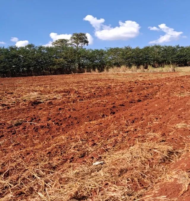 Sitio a venda sp Regiao Ribeirao Preto Sales de Oliveira montado 4.3 ha   - Foto 5