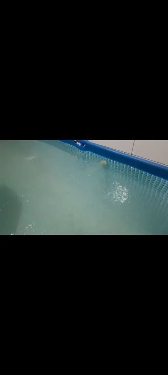 Piscina Intex  - Foto 4