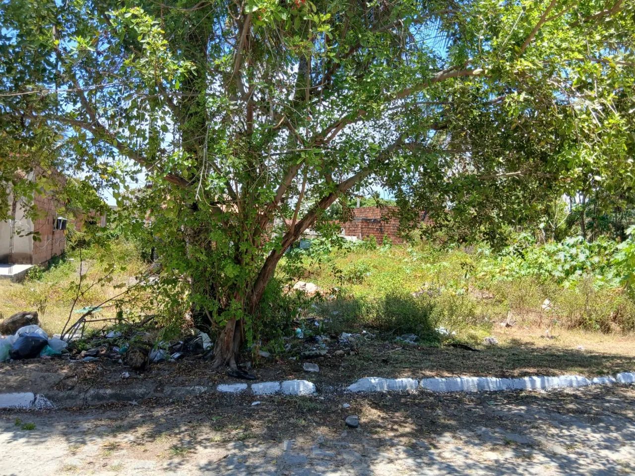 Vendo terreno na massagueira  - Foto 2