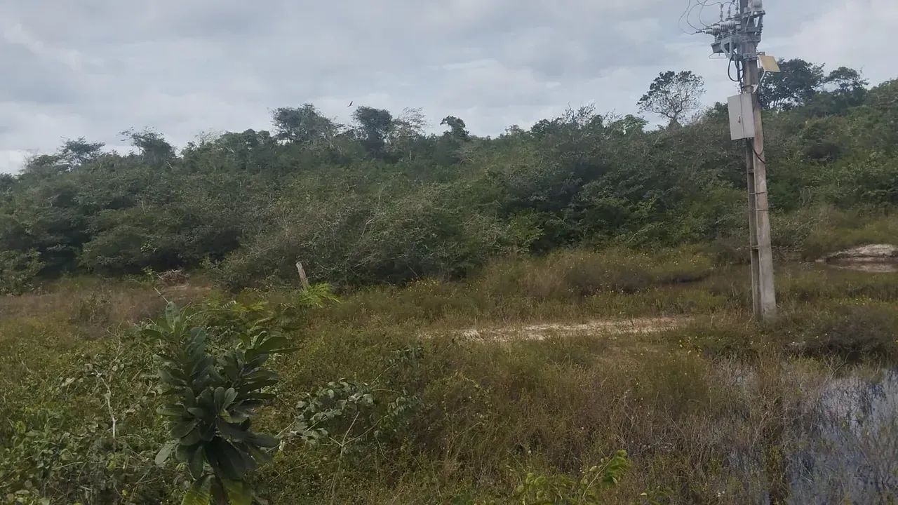Vende-se área rural em Humberto de Campos   MA - Foto 4