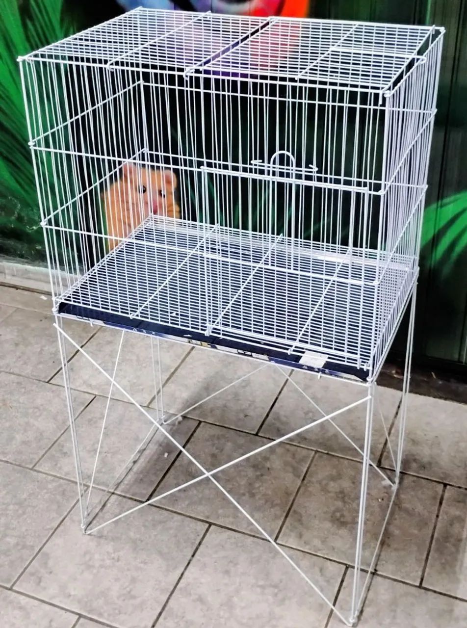 Viveiro p/ Coelho e Porquinho da Índia  - Foto 2