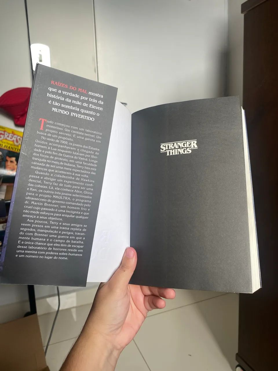 Livro Stranger things - Raízes do Mal - Foto 2