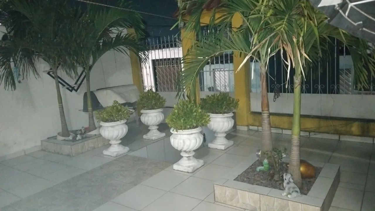 Mini palmeiras - Foto 2