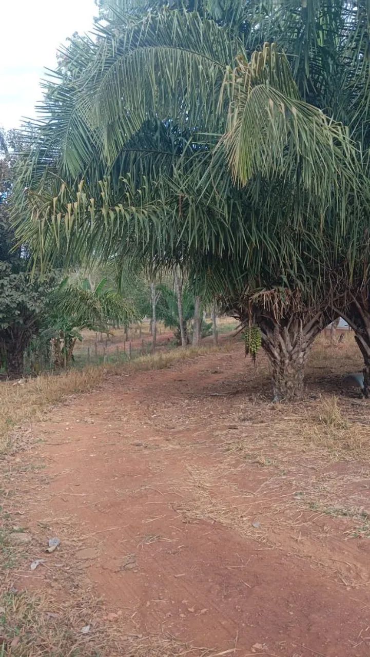 Chácara 1 alqueire em Teresópolis R$ 800 mil  - Foto 3