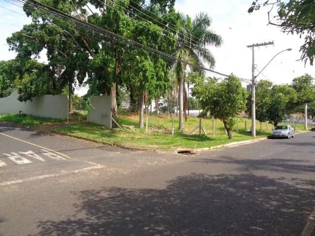 Terreno Padrão em Uberlândia - Foto 3