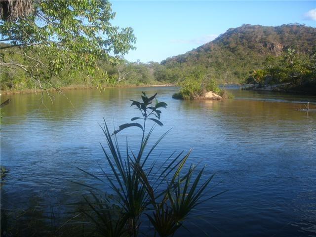 20.000 m2 na beira do rio coxuru em santa terezinha-mt