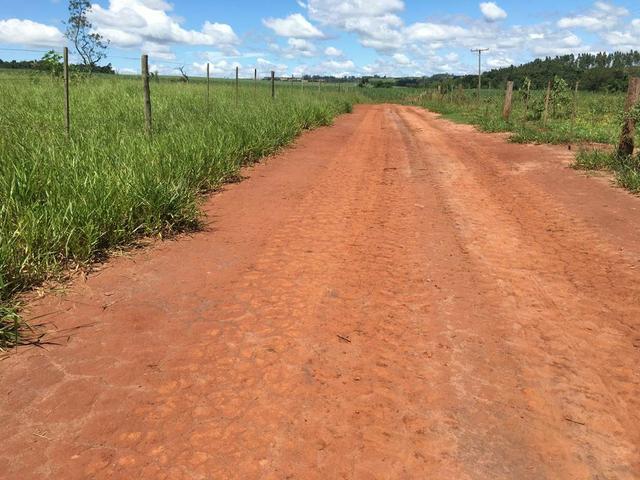 Arrendamento Ms 1000 ha - Terrenos, sítios e fazendas 