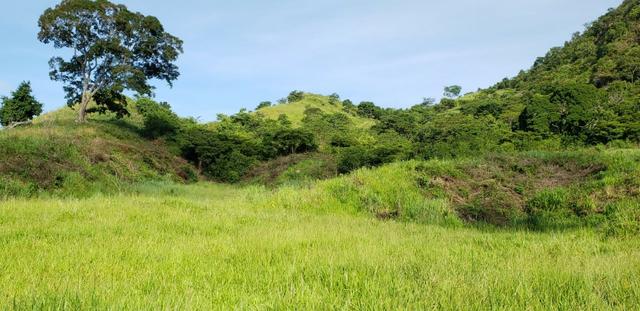 Fazenda 96,8 hectares - São Jose Safira, região de Governador Valadares/MG - Foto 13