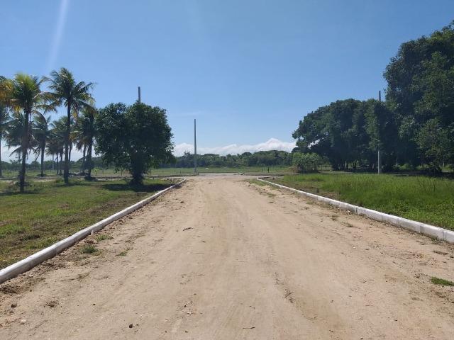 Jô - Residencial Unavida - Foto 2