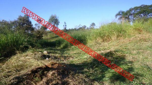 Terreno para alugar em Maria auxiliadora, Embu das artes cod:4710 - Foto 4