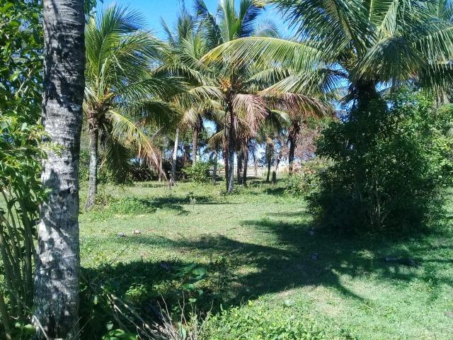 Jô - residencial 1° de Janeiro - Foto 5