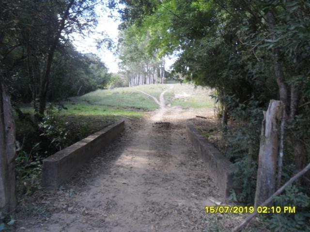 114C/Bela fazendinha de 25 ha com muita água, ótima localização e boa estrutura de sede - Foto 4