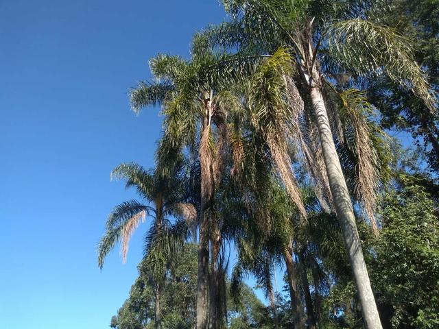 Área de terra em estância velha/portão