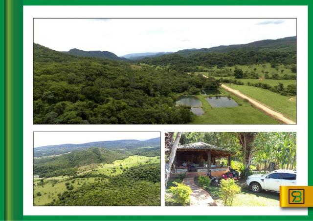 Fazenda em Cáceres - Foto 2