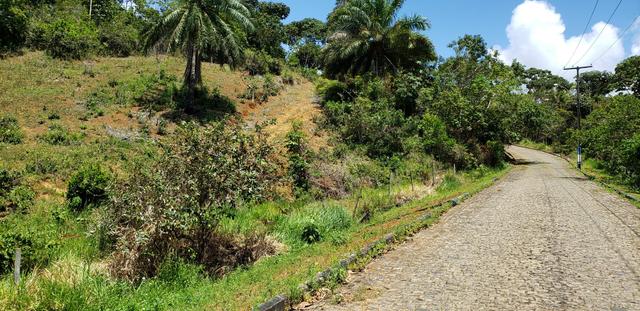 Lotes em Itacaré - Foto 2
