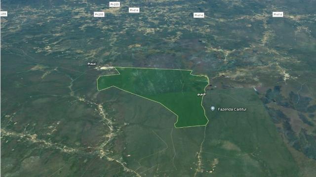 Fazenda de 7.000ha em Pilão Arcado - BA - Foto 2