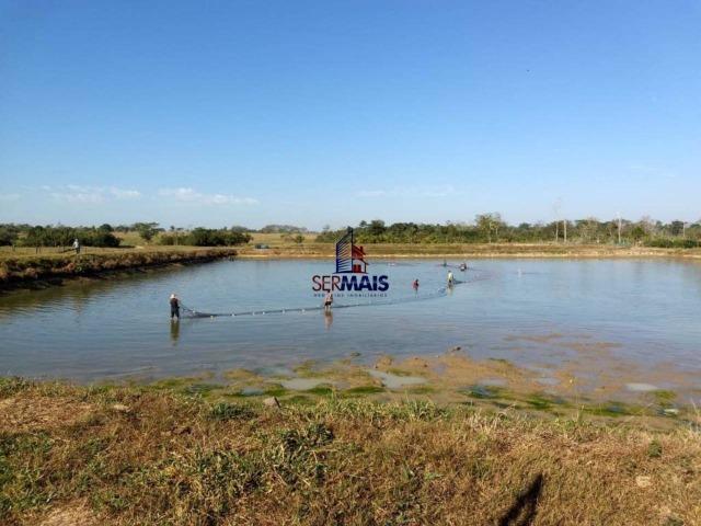 Sítio à venda, por R$ 2.775.000 - Zona Rural - Teixeirópolis/RO - Foto 7