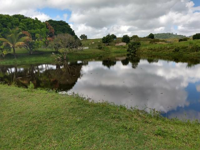 9 hectares nas Margens da BR 232 a 25 km de Recife PE