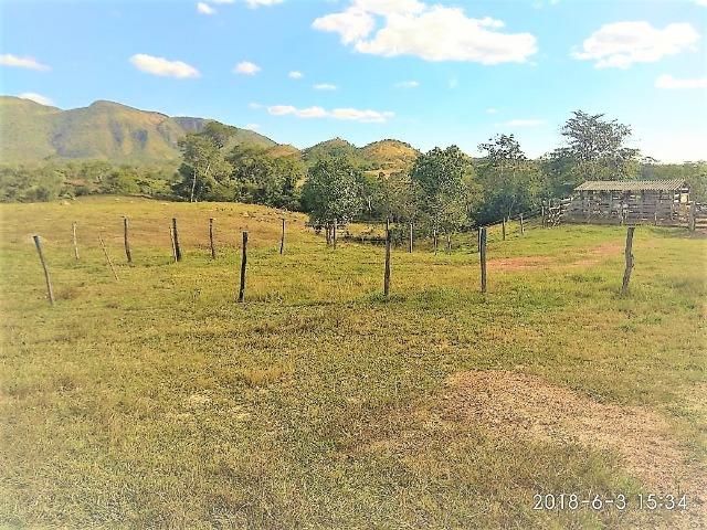 Fazenda com 25 alqueires com casa sede casa de caseiro Niquelândia goiás - Foto 13