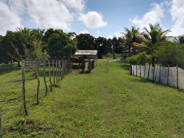 9 hectares nas Margens da BR 232 a 25 km de Recife PE - Foto 13