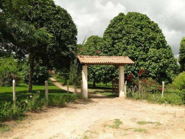 Maravilhosa oportunidade fazenda em maragogipe 120ta - Foto 11