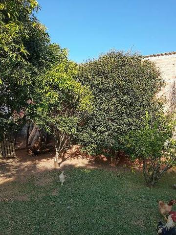 Permuta/venda linda chácara - Foto 10