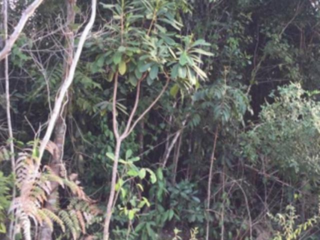 Terreno à venda em Trancoso, Porto seguro cod:J49351