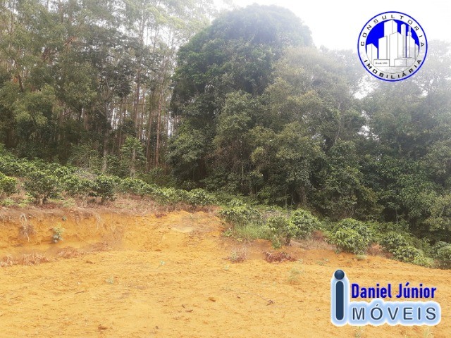 Vendo Sítio Próximo ao Park do China - Foto 5