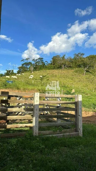 Fazenda com 2 quartos à venda, 543000 m² por R$ 2.200.000 - Zona Rural - São Fidélis/RJ