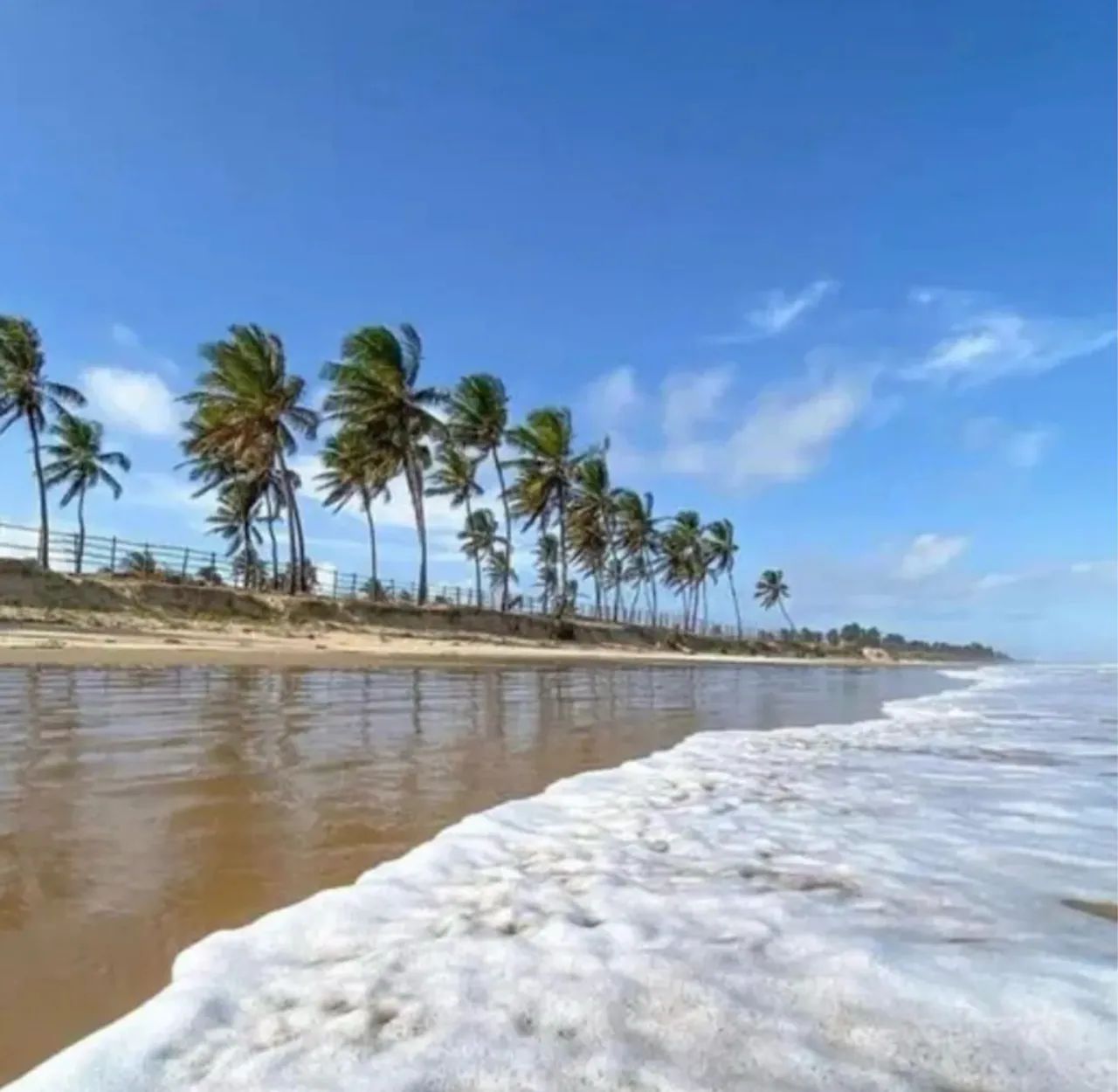 Padang - lotes disponíveis  - Foto 3