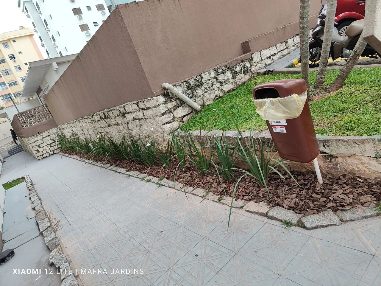 Jardineiro Mafra jardinagem e paisagismo  - Foto 4