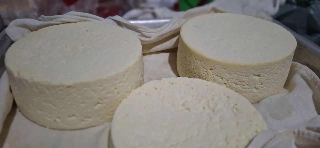 Queijo fresco artesanal - Produção própria