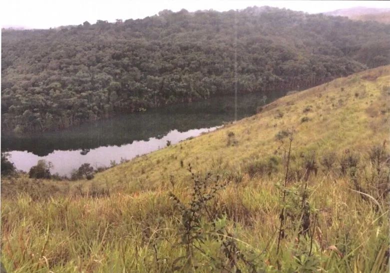 foto - São José dos Campos - Bosque dos Eucaliptos