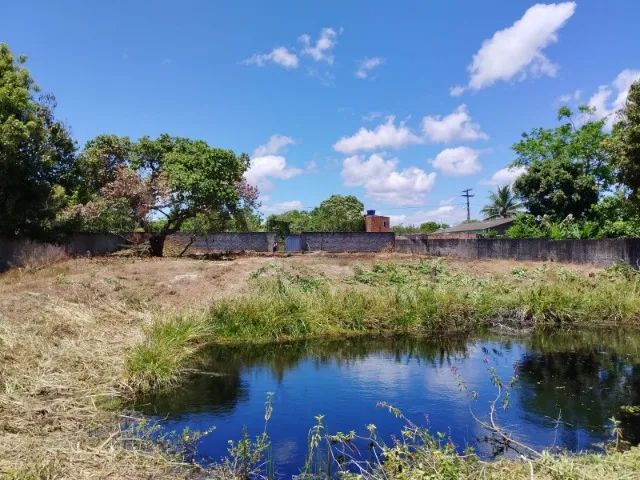 Vendo - Lote - Murado - Barra de Pojuca - Foto 4