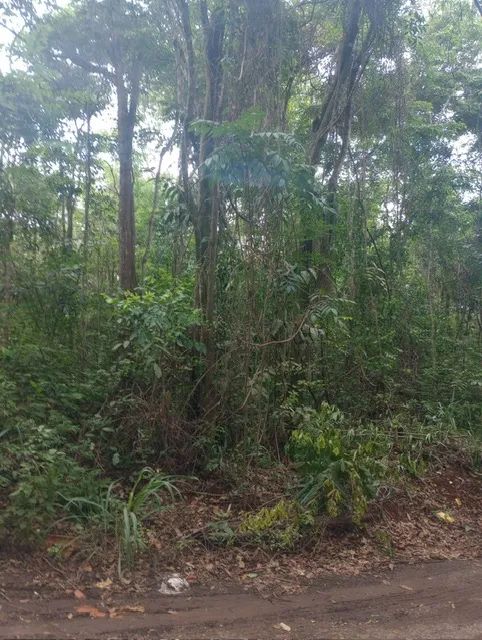 Chácara para venda com 2.257 metros quadrados - Rua Jandaia, Chácaras de Recreio Samambaia - Foto 3