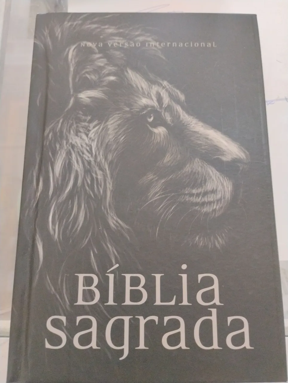 Bíblia Sagrada - Nova Versão Internacional