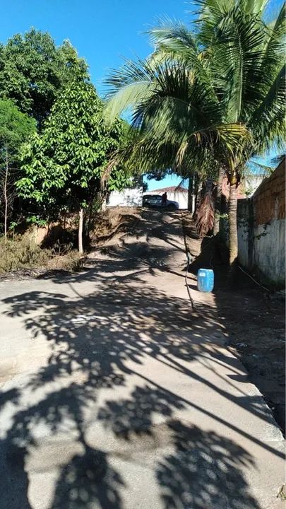 Galpão Industrial - Aluguel - Foto 5