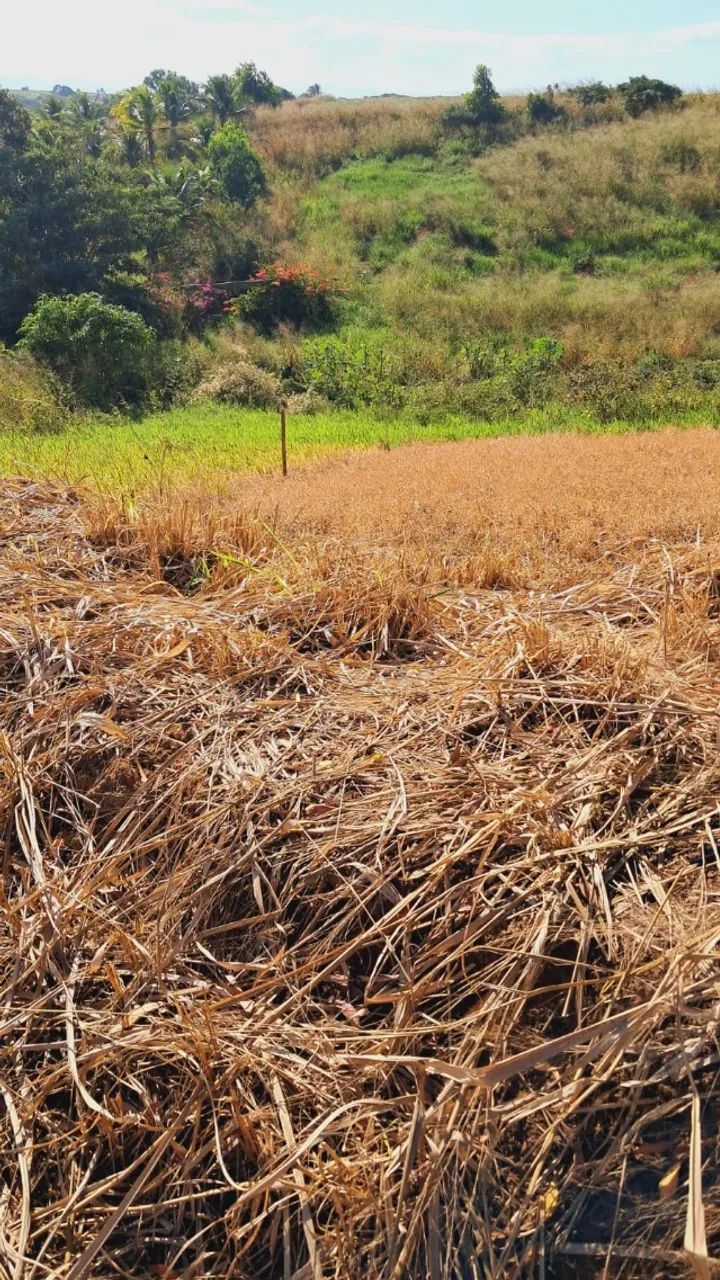 Terreno 2 min da Lagoa do Siri - Foto 5