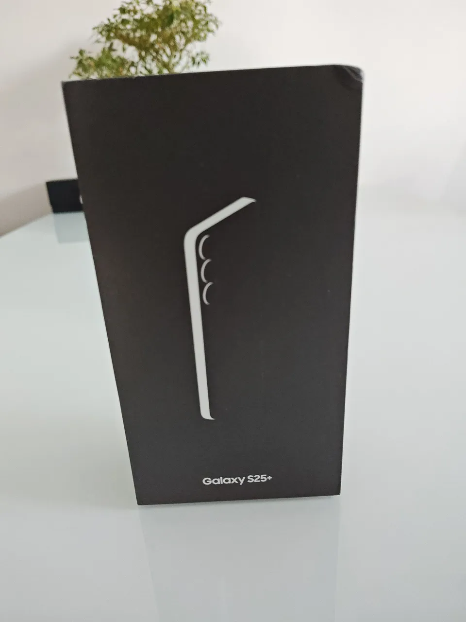 Galaxy S25 Plus
