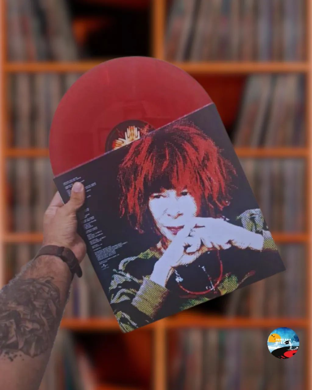 Vinil LP Rita Lee - Reza (duplo) NOVO  - Foto 4