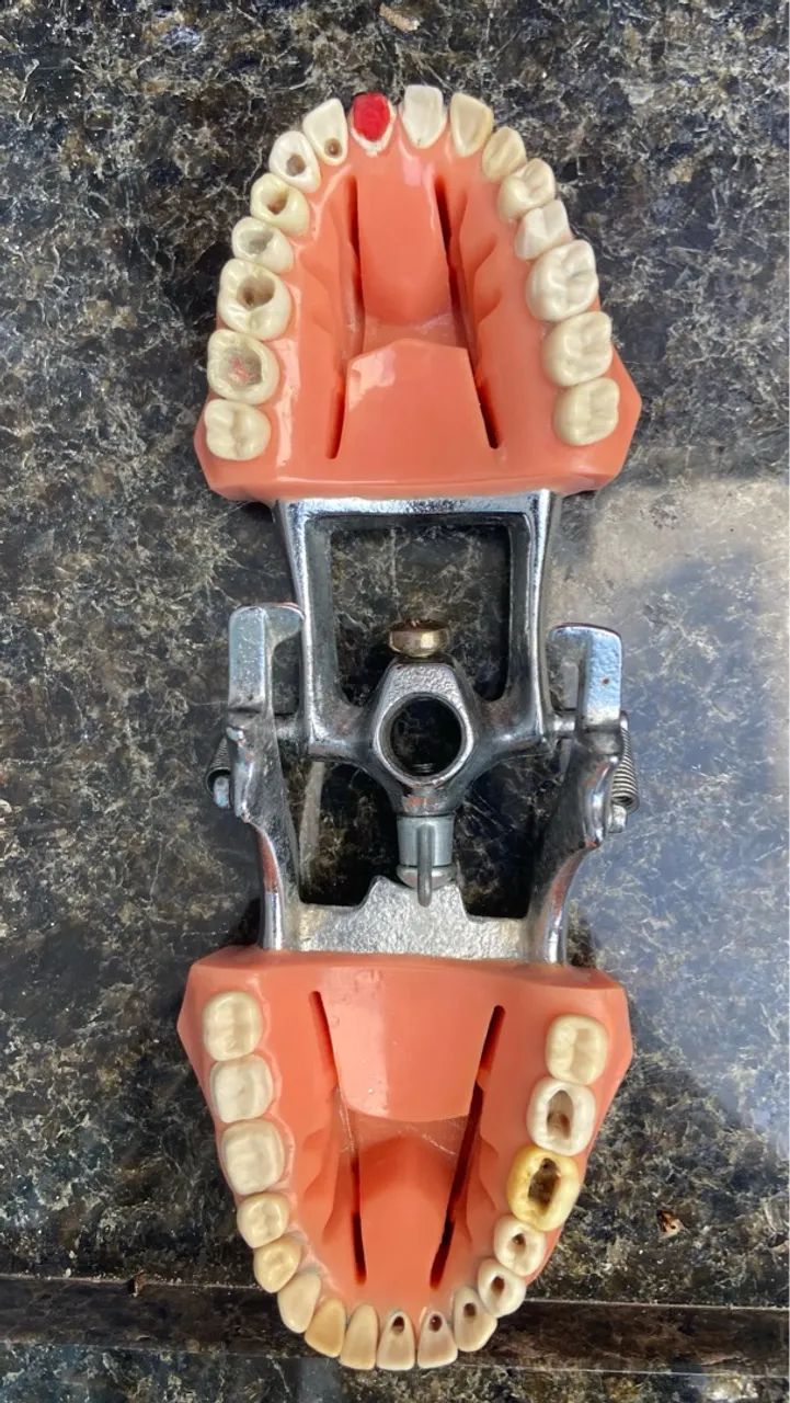 Vendo manequim odontológico simples - Foto 2