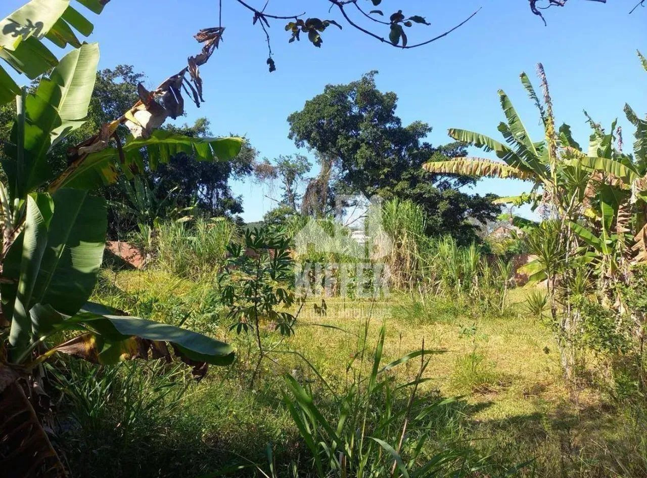 Sítio em Itaipuaçu com 3.000 m², Pomar e Energia Instalada - Foto 5